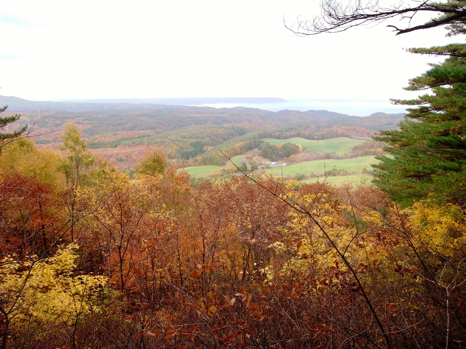 お岬様から北方を望む