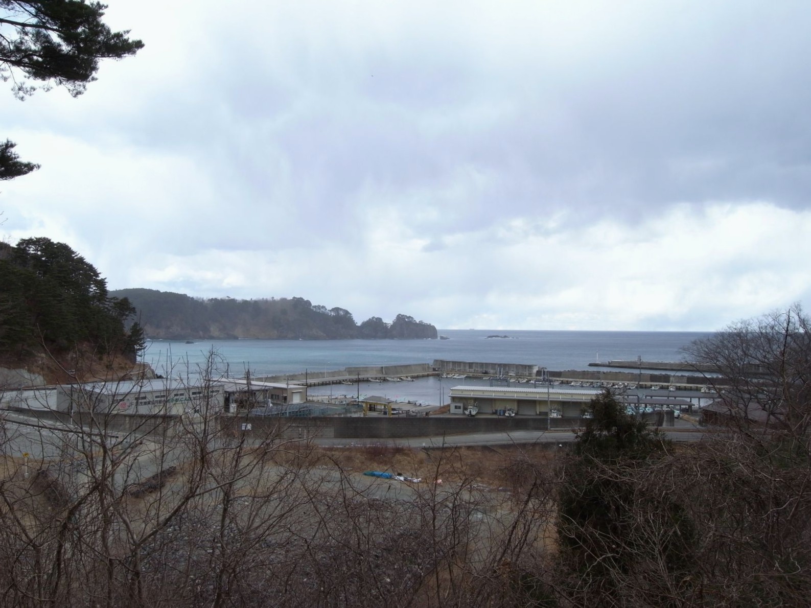 【画像】音部漁港・全景