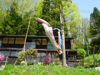 中谷集落・民家と鯉のぼり