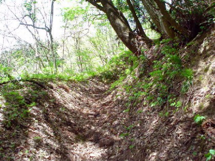 高町越え・斜面を登る古道